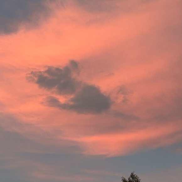 Meet your Posher, Amy - Picture 4 of 5